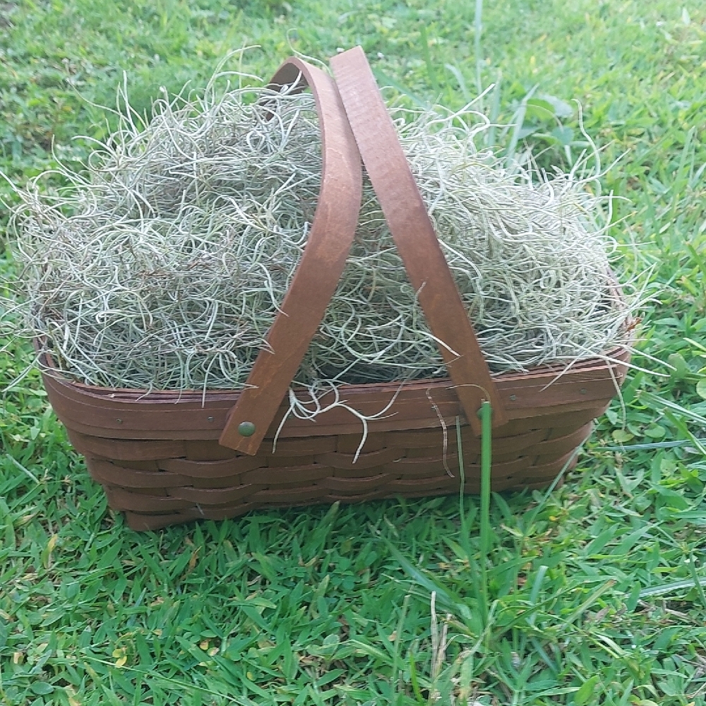Spanish Moss
